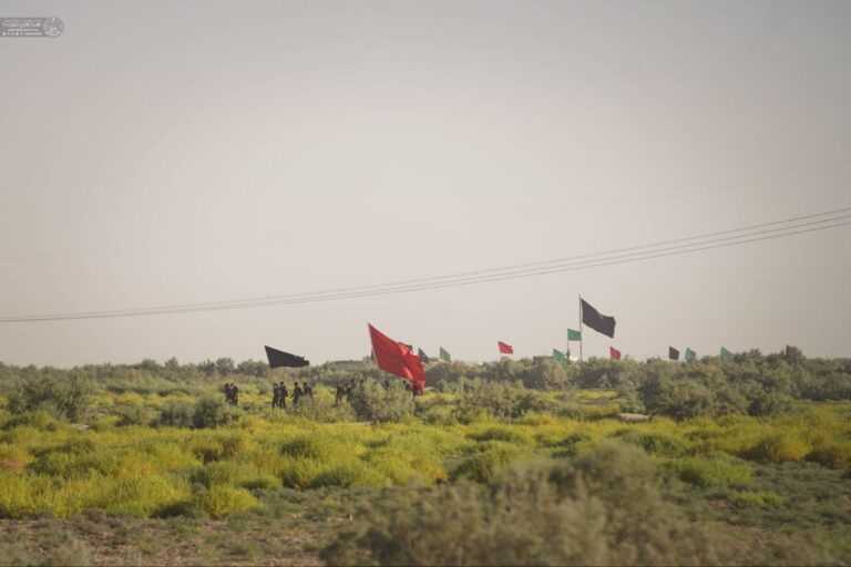 Dari Najaf ke Karbala 11