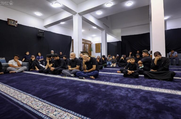 Majlis Marja 8